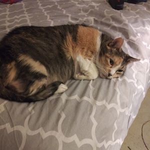 Meet your Posher, Gary